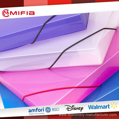 Translucent Filing Box pp carry box with Elastic Band